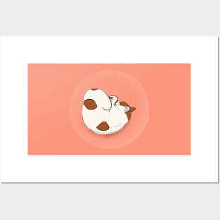 Soya the cat - sleeping Posters and Art